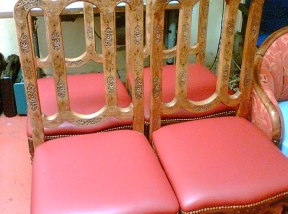 002_foto_calounictvi_davidek