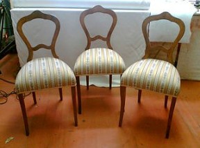 056_foto_calounictvi_davidek